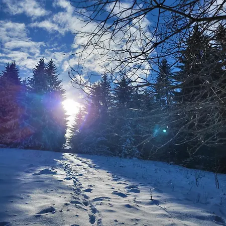 Apartment Rhoen-kutscher *