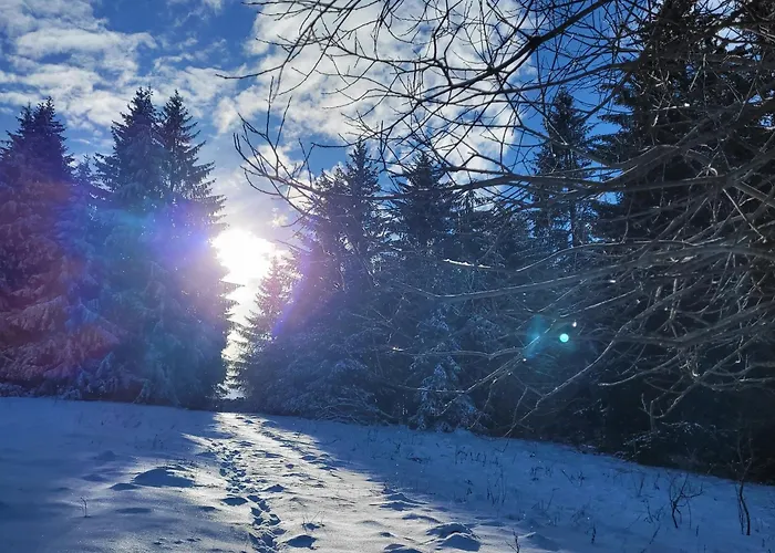 Апартаменты Rhoen-kutscher *